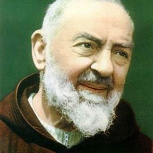 Meet your Posher, Angeles